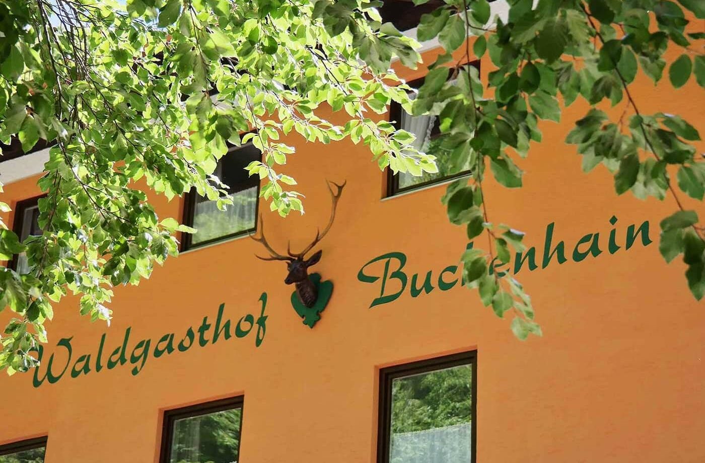 Außenansicht des Waldgasthof Buchenhain mit grünen Blättern, ideal für einen Familienurlaub in der Natur.