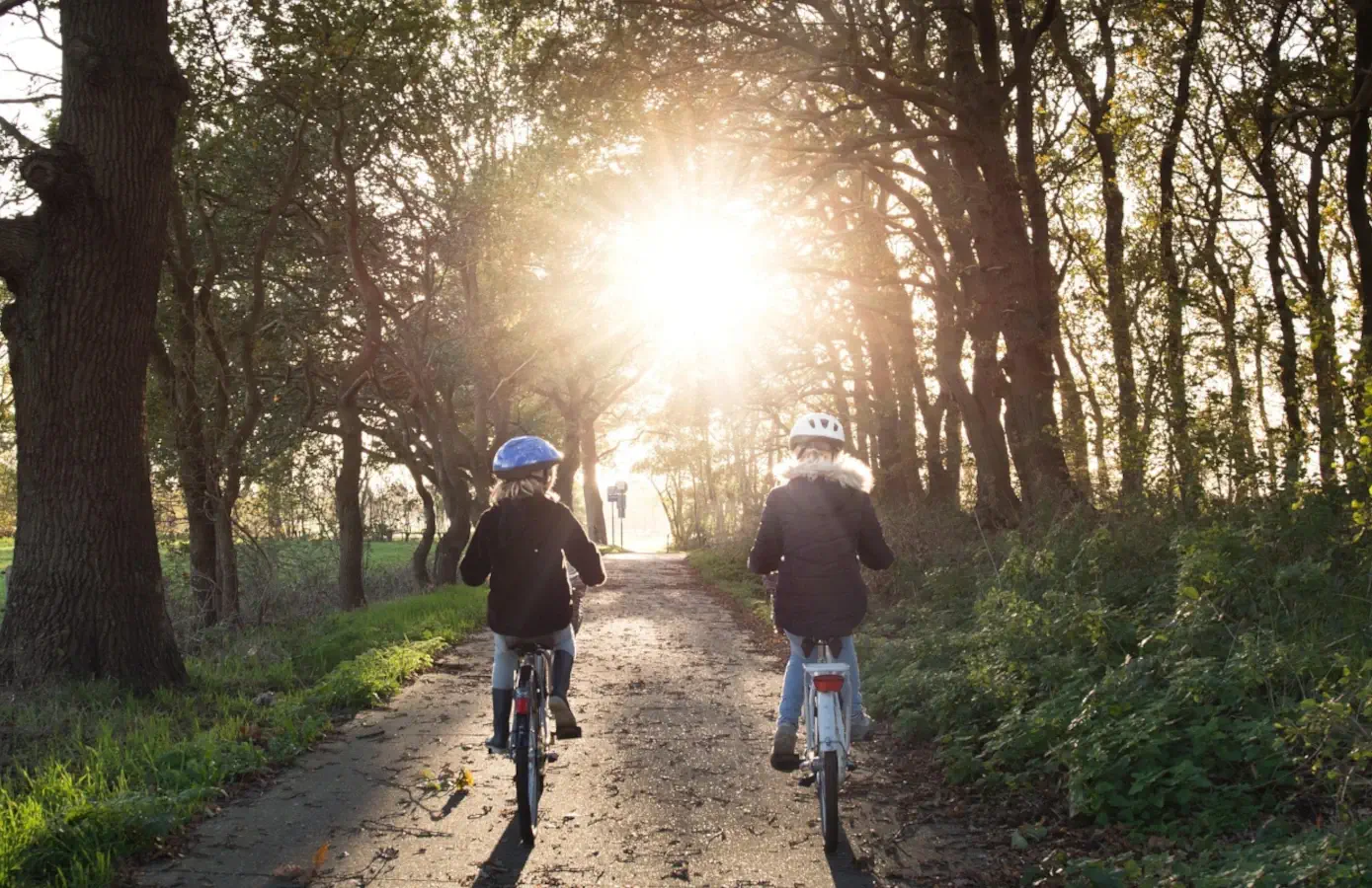 Zwei Kinder fahren mit Fahrrädern auf einem Waldweg, die Sonne scheint durch die Bäume, ideal für einen Familienausflug.