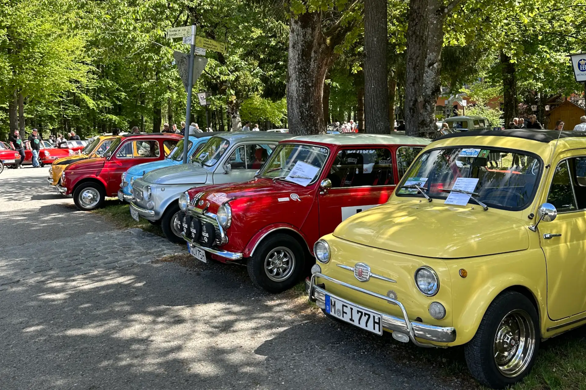 Verschiedene bunte Oldtimer auf einem Treffen im Park, ideal für Autoliebhaber und Familienausflüge in der Region.