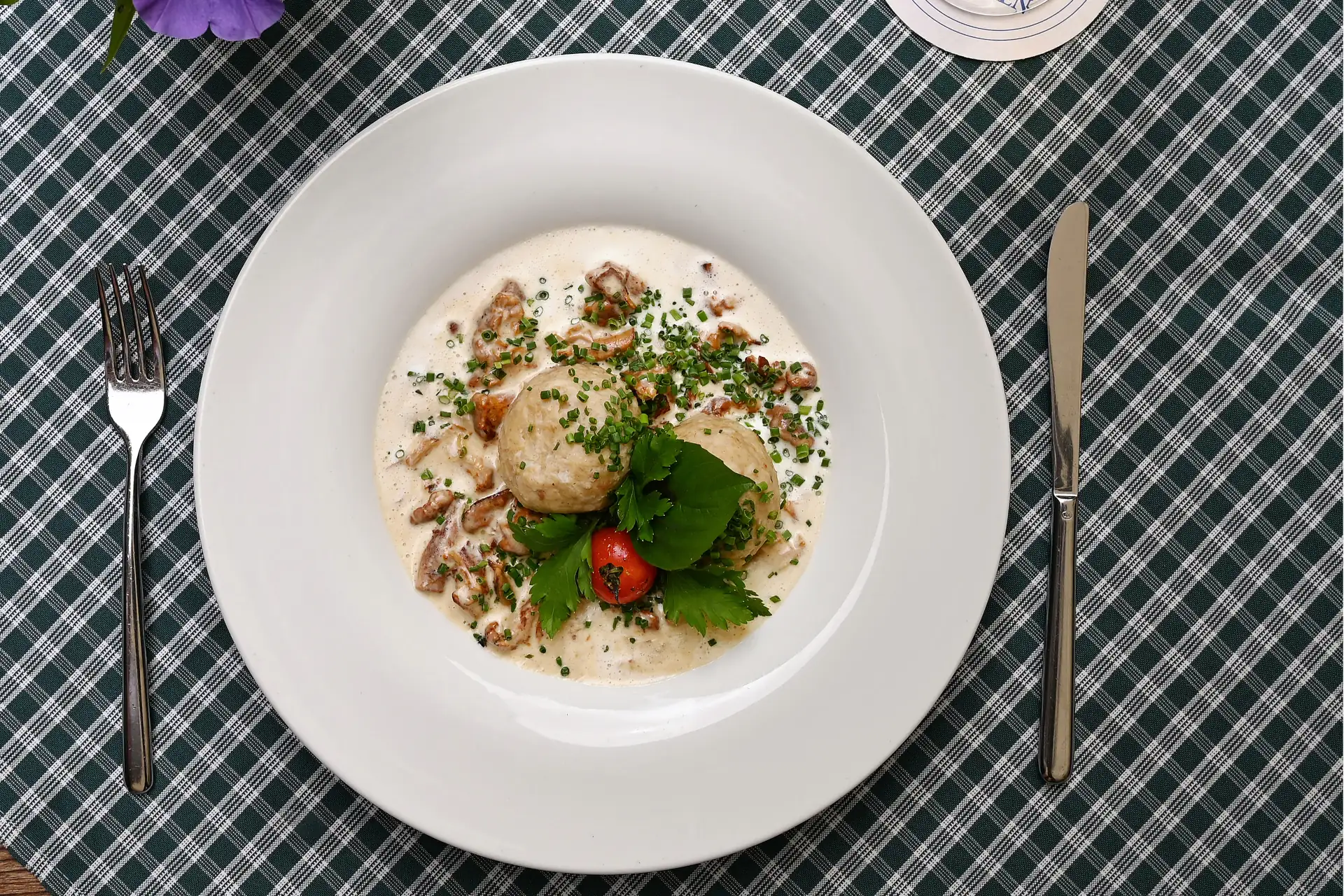 Ein Teller mit Knödeln, Pilzen in cremiger Soße und frischen Kräutern serviert auf einem karierten Tisch bei einem gemütlichen Abendessen.